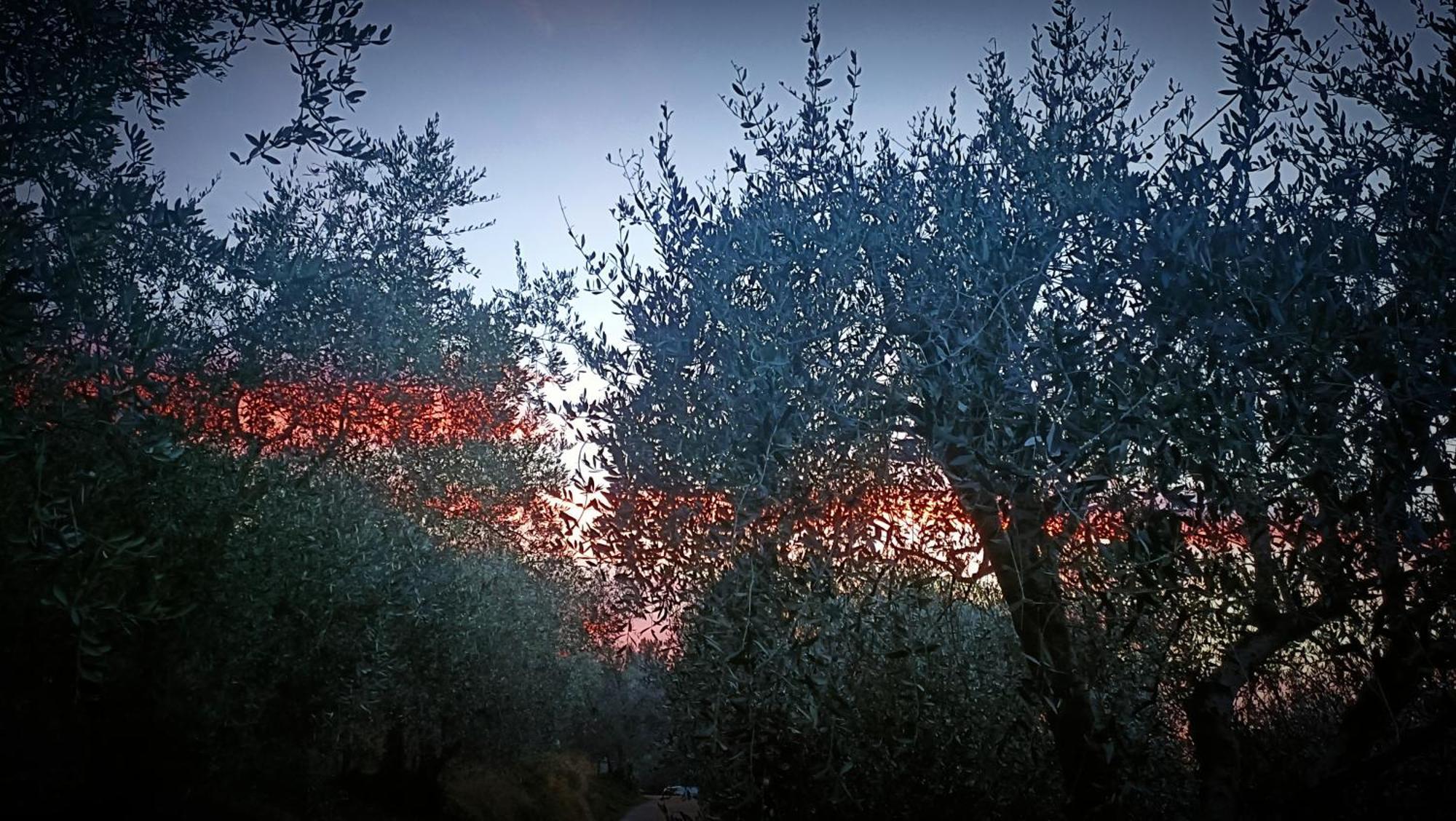 Agriturismo Monaci Templari Seborga Exteriér fotografie