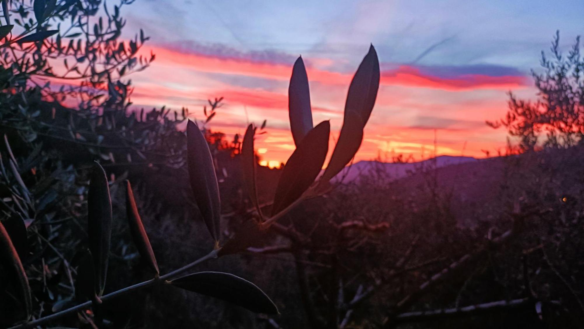 Agriturismo Monaci Templari Seborga Exteriér fotografie